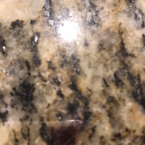 Meet your Posher, Sofia